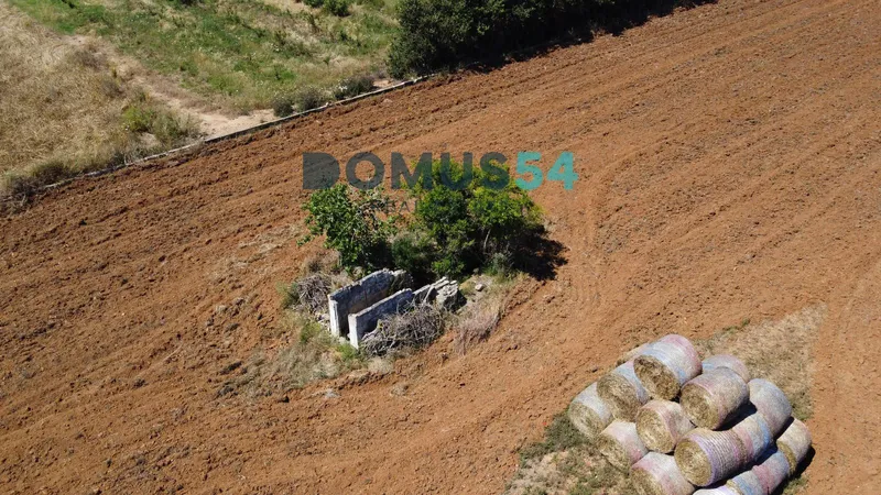 plot in Muro — photo 11