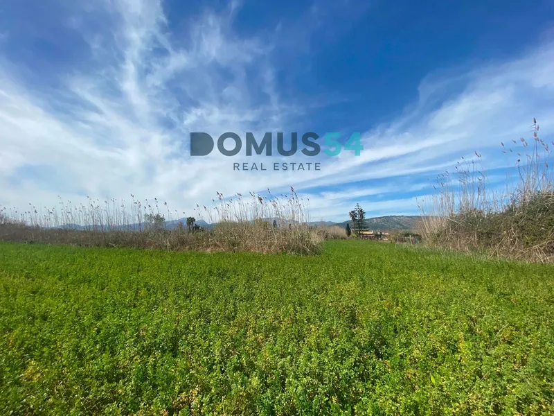 Rustic land not to be built on in Sa Pobla — photo 9
