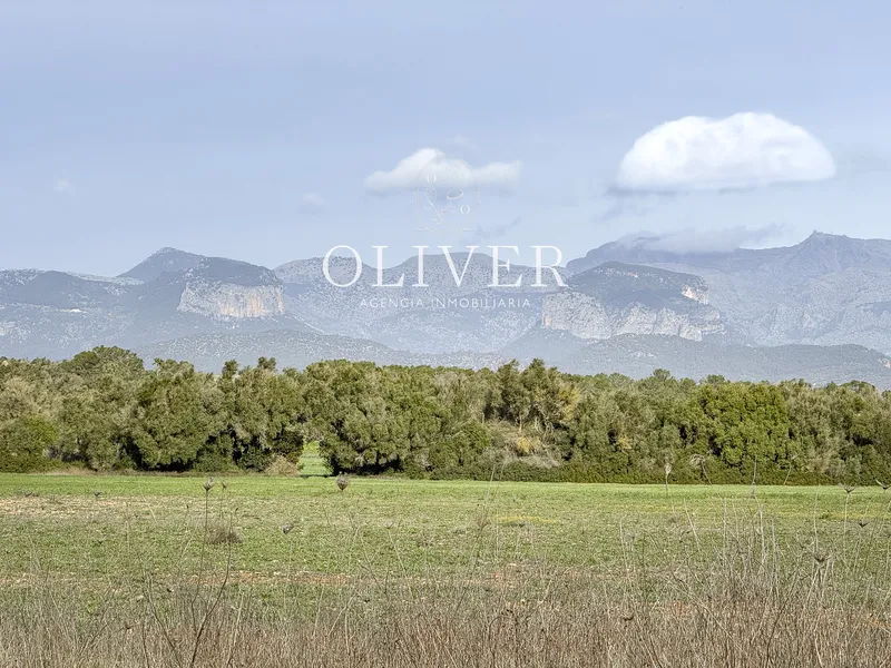 Large plot with views in Sencelles — photo 2