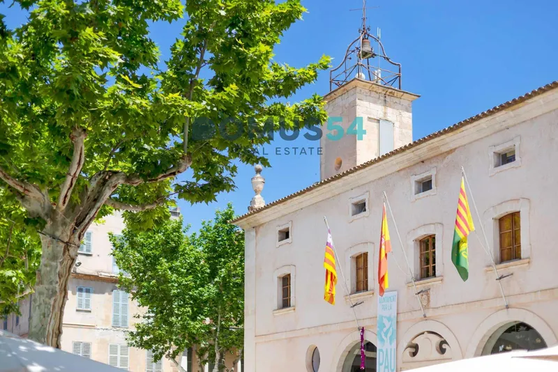 plot in Sa Pobla — photo 9