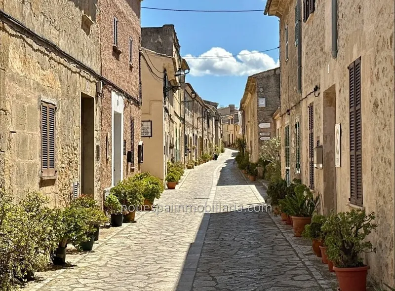 Urban plot for sale in María de la Salut — photo 7