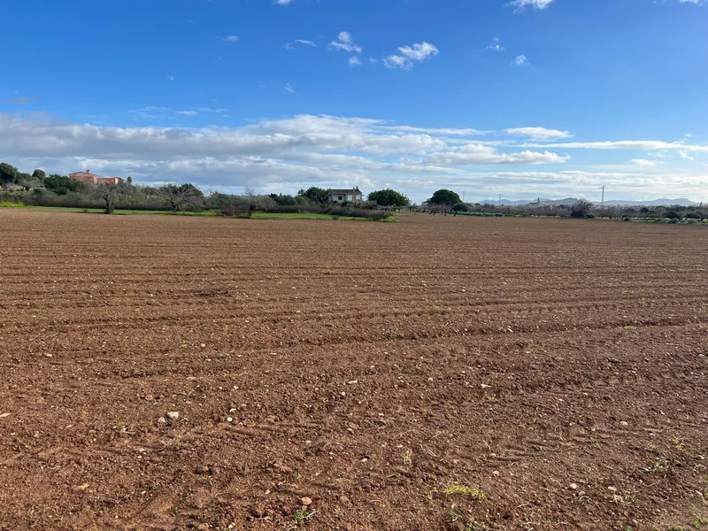Porreres Rustic Plot for Building — photo 2