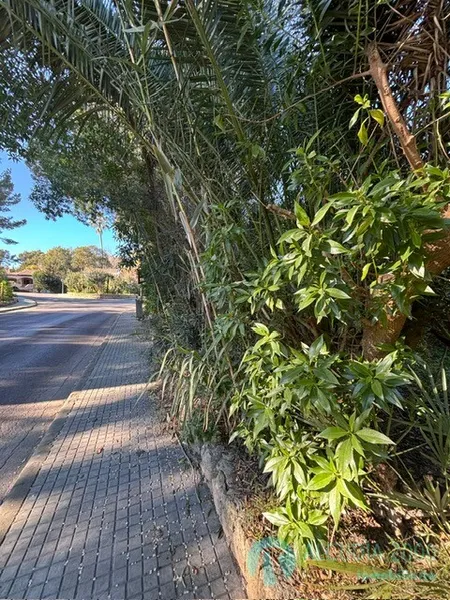Land — photo 3
