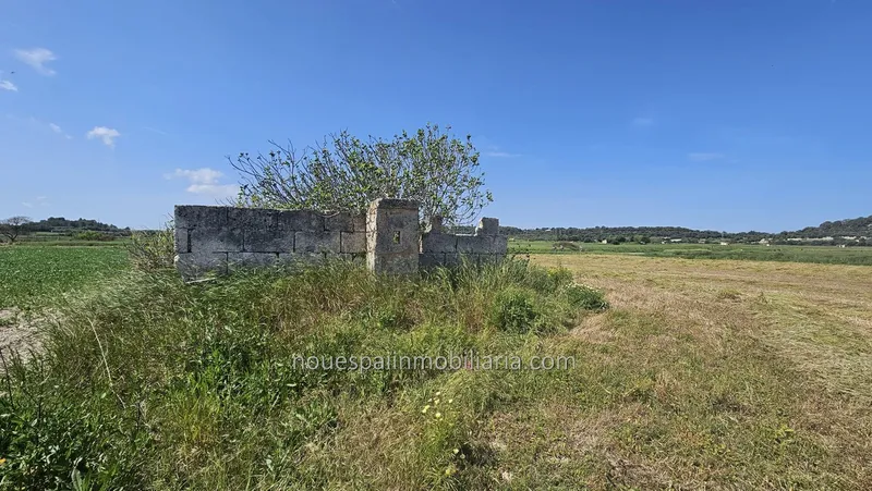 Rustic finca in Muro — photo 6