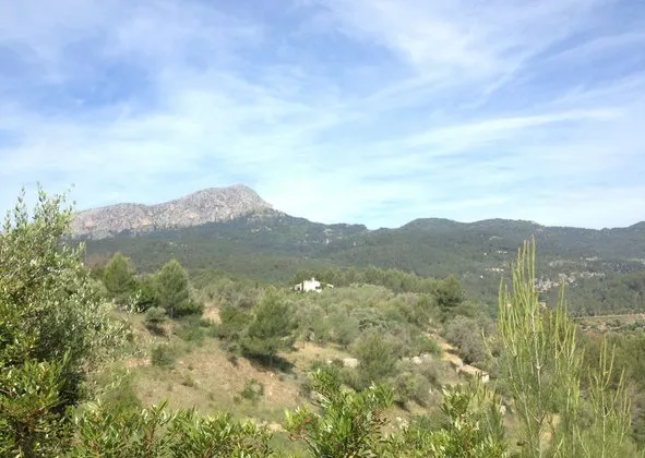 Detached house in Camino des Coverany, 1, Puigpunyent — photo 1