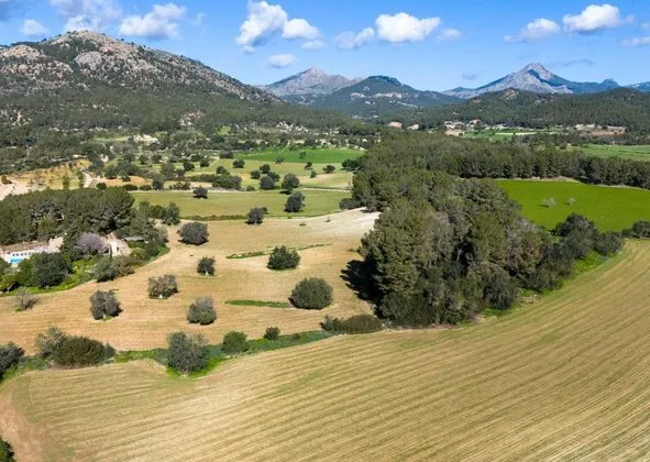 Estate in Calvià pueblo, Calvià — photo 3