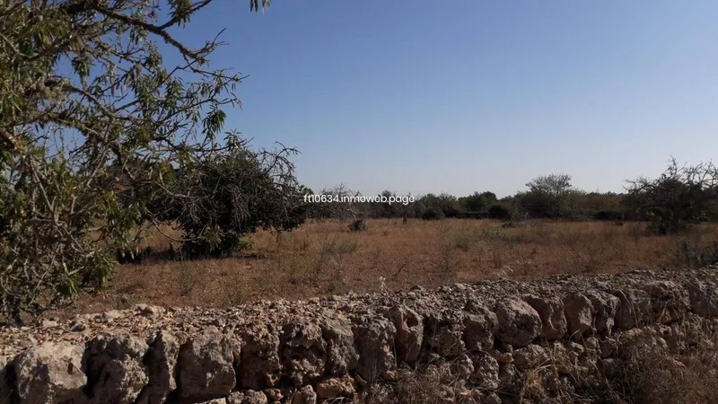 Rural or Farmhouse in Algaida, Province of Balearic Islands — photo 11