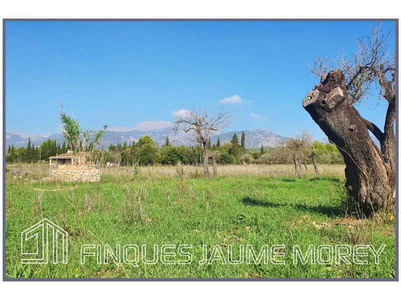 Country houses — photo 4