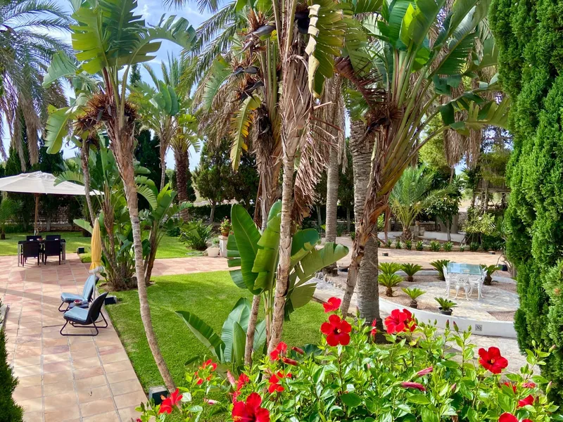 Villa - Santanyí (Cala d'Or), Built Surface 812m², Plot Surface 4527m², 10 Bedrooms, 7 Bathrooms,... — photo 3