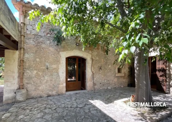 Estate in Sineu — photo 1