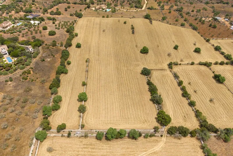 Top quality plot for sale in Santanyi with private pool and sea views — photo 8