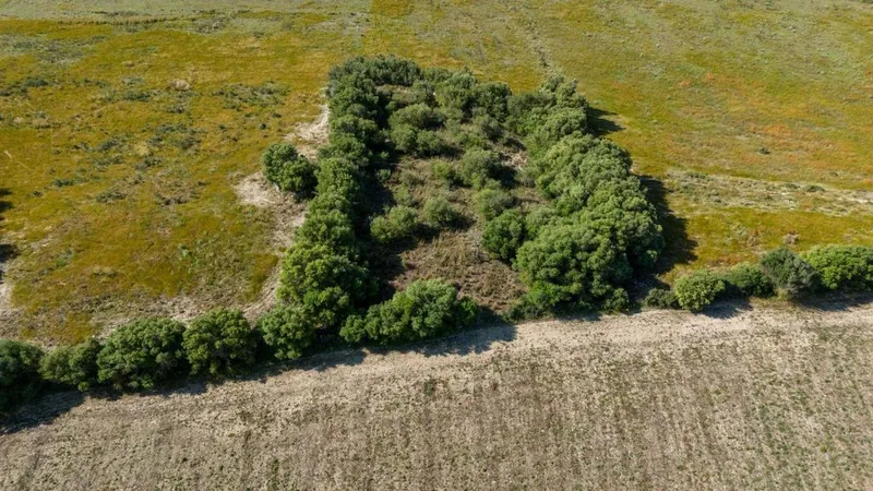 Land in Ariany, Province of Balearic Islands — photo 7