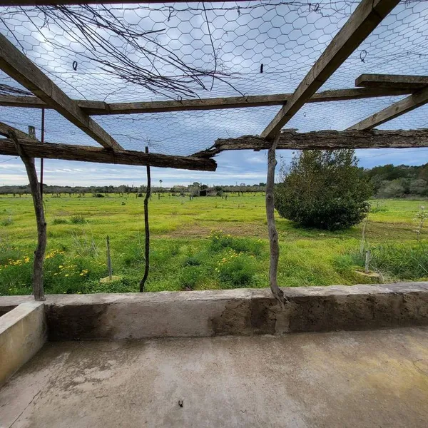 Land in Llucmajor, Province of Balearic Islands — photo 1