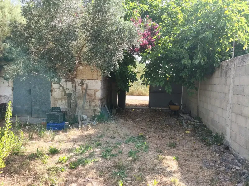 Beautiful finca in Sa Pobla, with 3300 m2, and house of 56 m2, with 1 bedroom, bathroom, living-dining room with fireplace, and kitchen, no electricity, works — photo 1