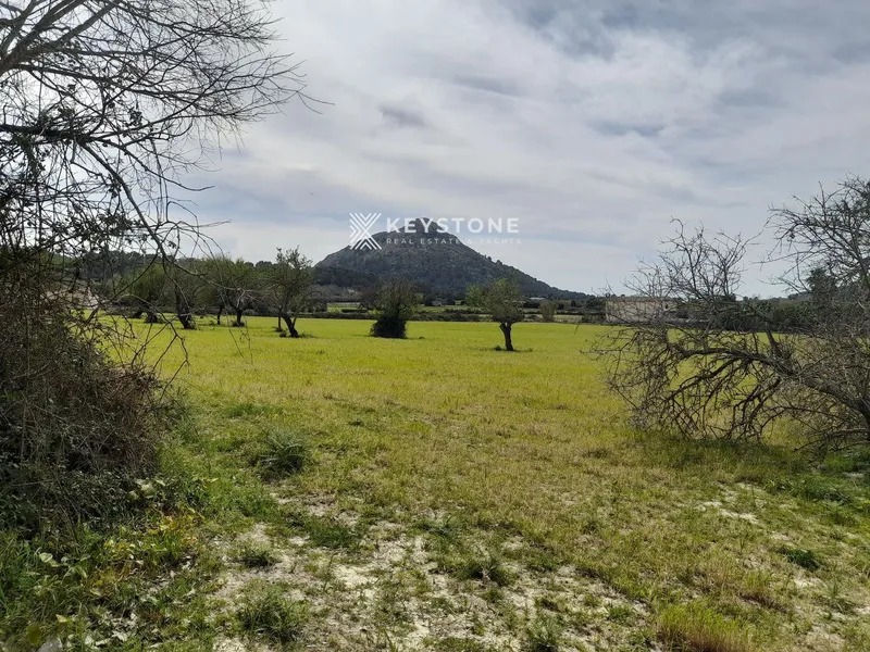Rustic Finca — photo 10