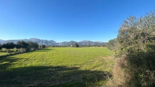 Plot of land - Selva, Plot Surface 14711m² — photo 3