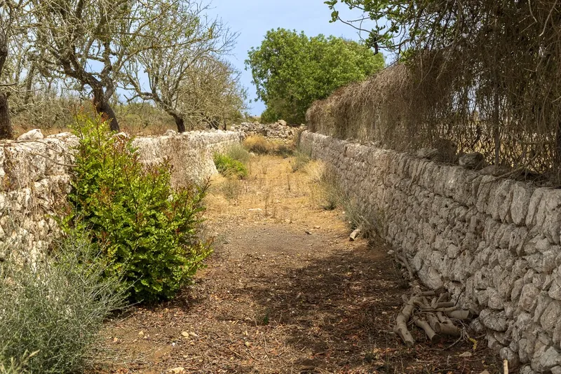 Top quality plot for sale in Santanyi with private pool and sea views — photo 4