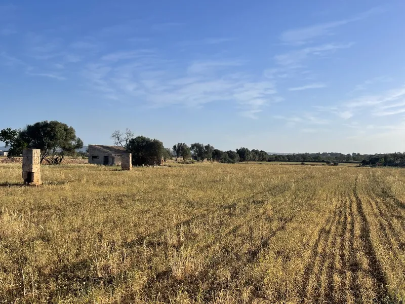 Plot Between Campos and Sa Rapita — photo 7