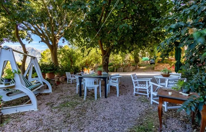 Mallorcan finca in idyllic area of Soller — photo 7