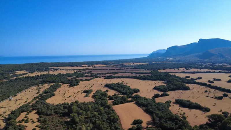 Rural or Farmhouse in Artà, Province of Balearic Islands — photo 7