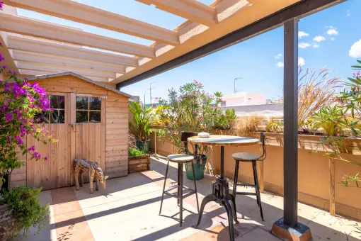 Palma City, spacious renovated apartment with a huge, sun-drenched terrace — photo 10