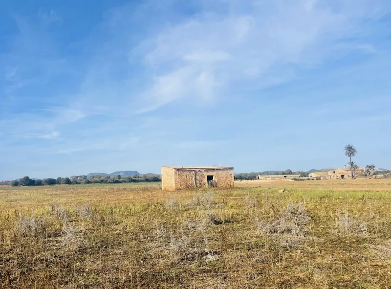 Buildable plot in Campos with basic project — photo 11