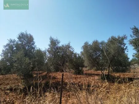 Rustic property - Selva (Afueras), Built Surface 1m², Plot Surface 7500m² — photo 2
