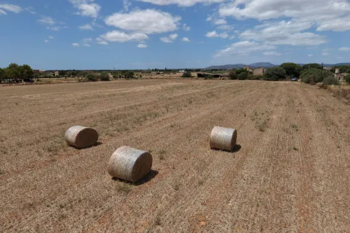 Campos, Attractive Building Plot with Panoramic Open Views near Campos — photo 4
