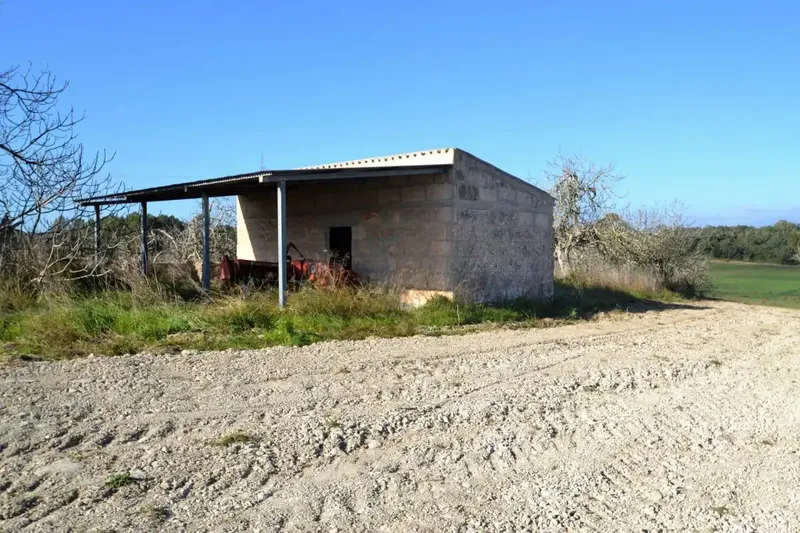 Plot of more than 25000 m2 in Llubí — photo 1