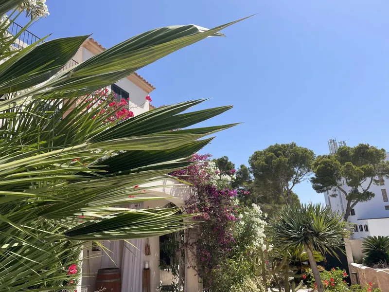 Apartment in Cala Santanyí, Province of Balearic Islands — photo 10