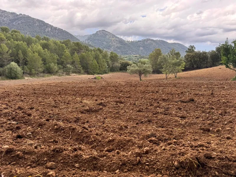 Rustic finca for sale in Selva with unbeatable views of the Serra de Tramuntana mountains — photo 1