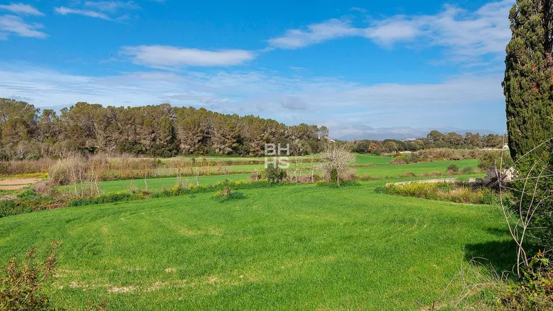 Country plot for sale in Muro — photo 2