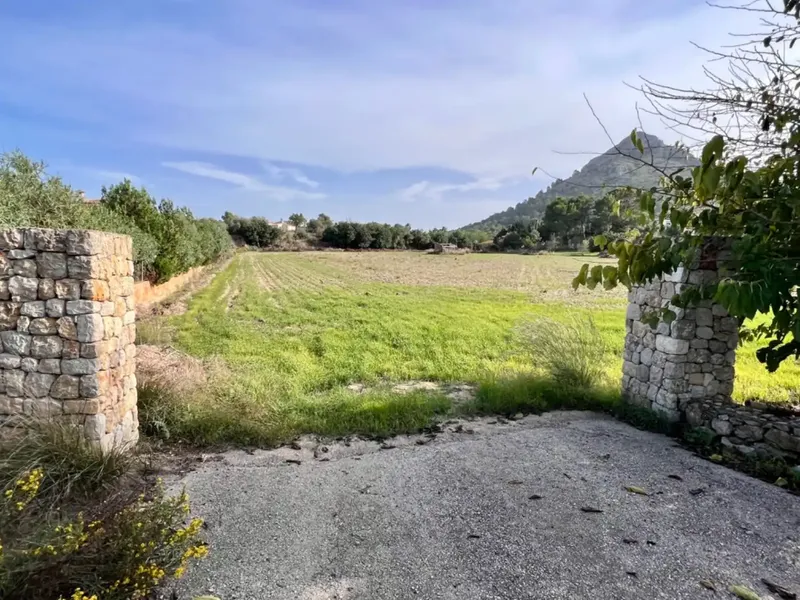 On the outskirts of Alcudia, we have this finca of about 12,900 m2 of land, with a water well, fenced finca, with 1 building in ruins. — photo 5