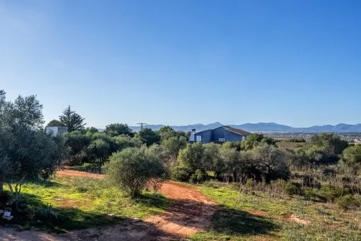 S'Aranjassa, beautiful finca project in S'Aranjassa — photo 7