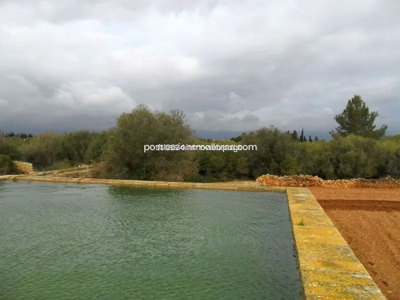 Rural or Farmhouse in Llubí, Province of Balearic Islands — photo 1
