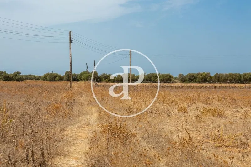 Land in Campos, Province of Balearic Islands — photo 12