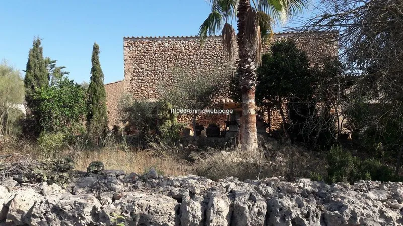 Rural or Farmhouse in Algaida, Province of Balearic Islands — photo 6