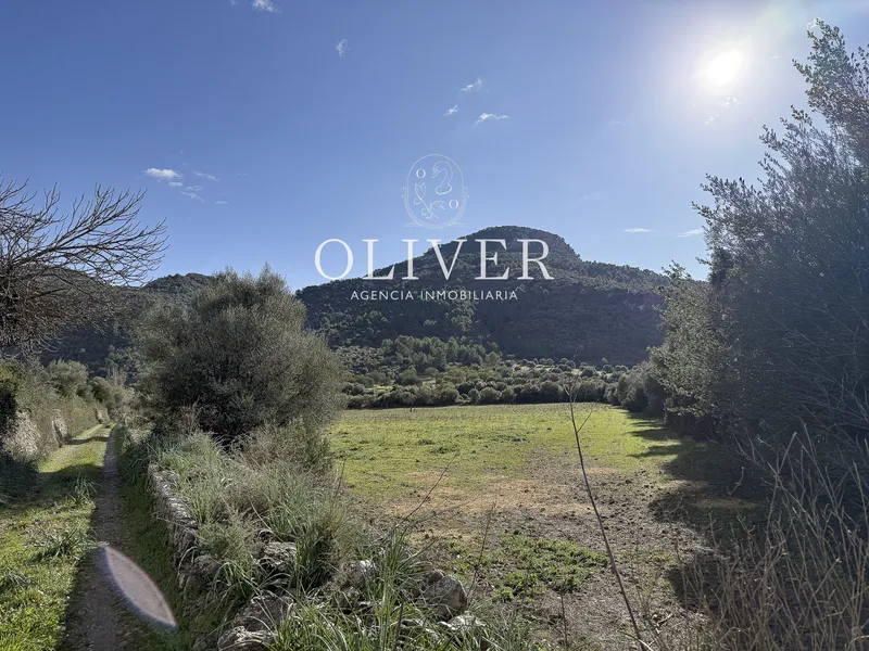 Wonderful rustic estate in Alaró — photo 12