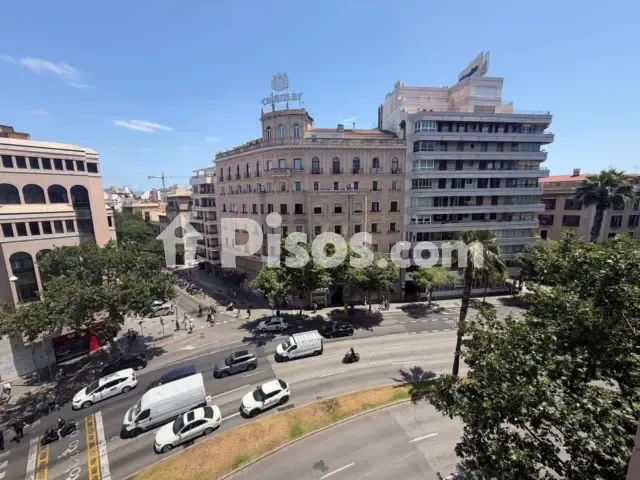 Apartment on Calle Gran I General Consell, no. 9 — photo 2