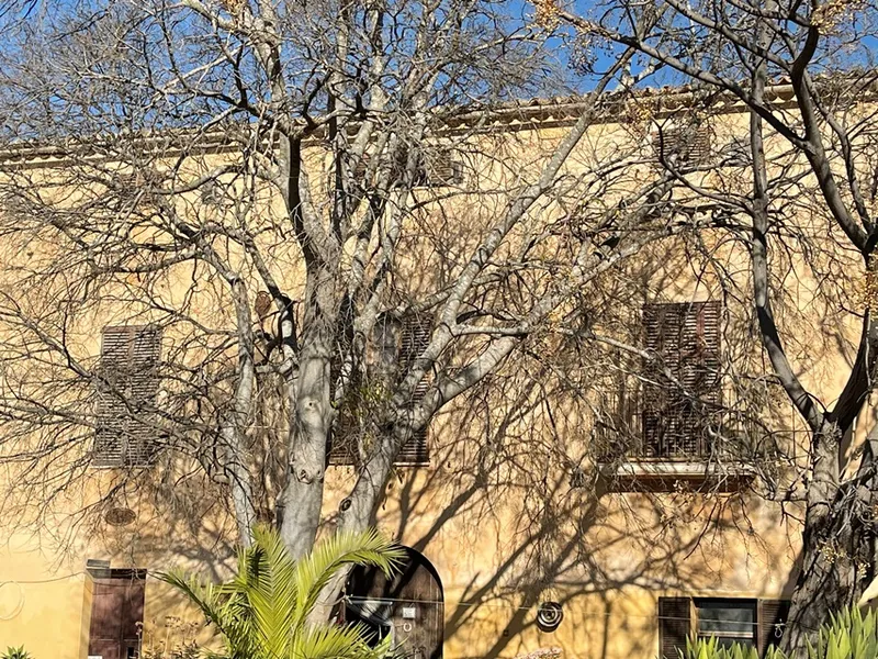 Country manor house to renovate in Pla de na Tesa, Marratxi — photo 3