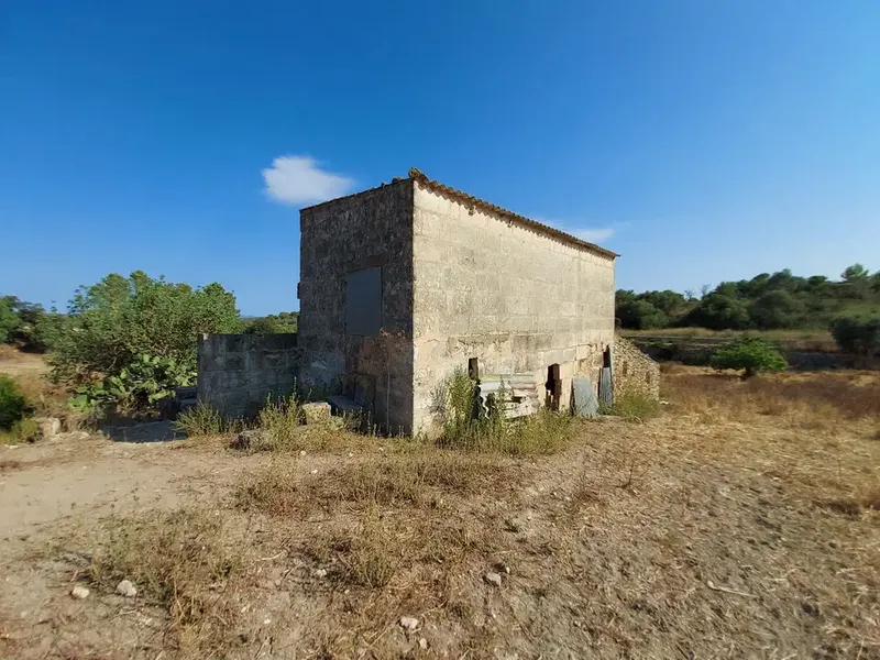 Land in Maria de la Salut, Mallorca — photo 4