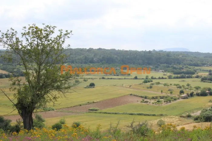 Rustic land for sale in Villafranca — photo 2
