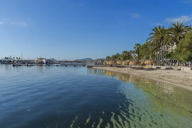 Lovely residential plots for sale in Pollensa Golf, Mallorca — photo 11