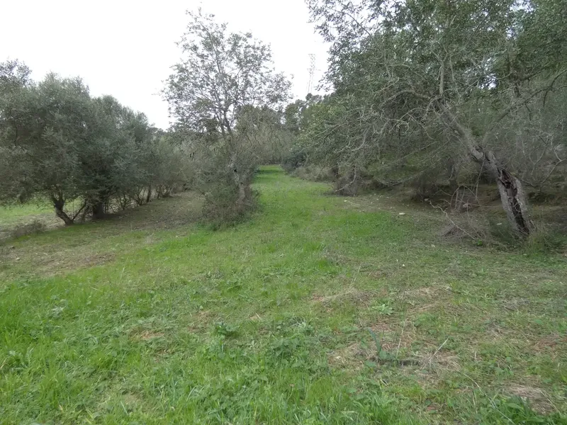 Rustic estate of 25,281 m² for sale with a 99 m² building to renovate, built before 1956 but in good condition — photo 9