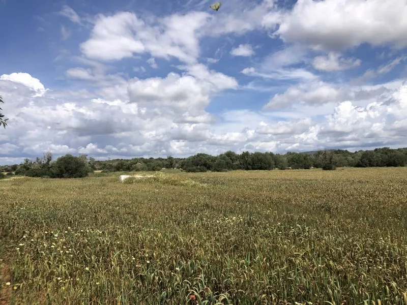 Plot located on a quiet plot 500 meters from Santanyi — photo 4