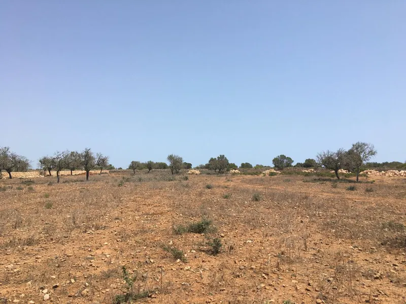 Villa for sale in Es Llombards Santanyi of 420 m2 — photo 12
