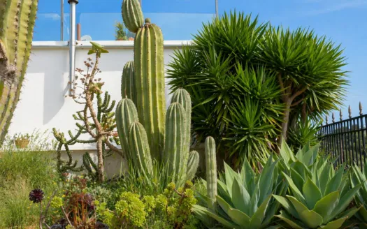 Detached house in Cala Llombards – a few steps from the bay — photo 4