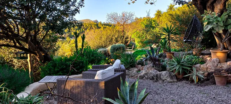 Ref. 2433C – Andratx – Beautiful village house with garden and pool — photo 8