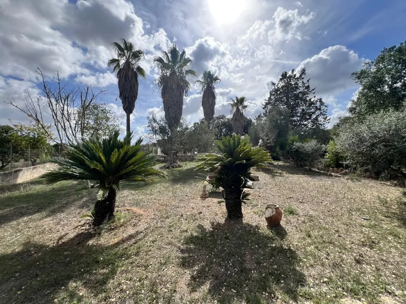 Charming rustic finca in Costitx — photo 12