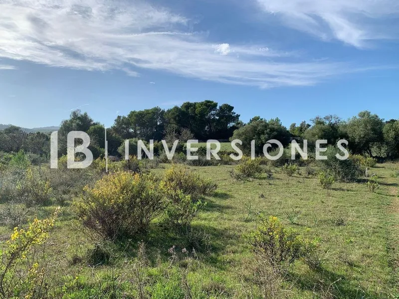 Land in Capdepera, Province of Balearic Islands — photo 7